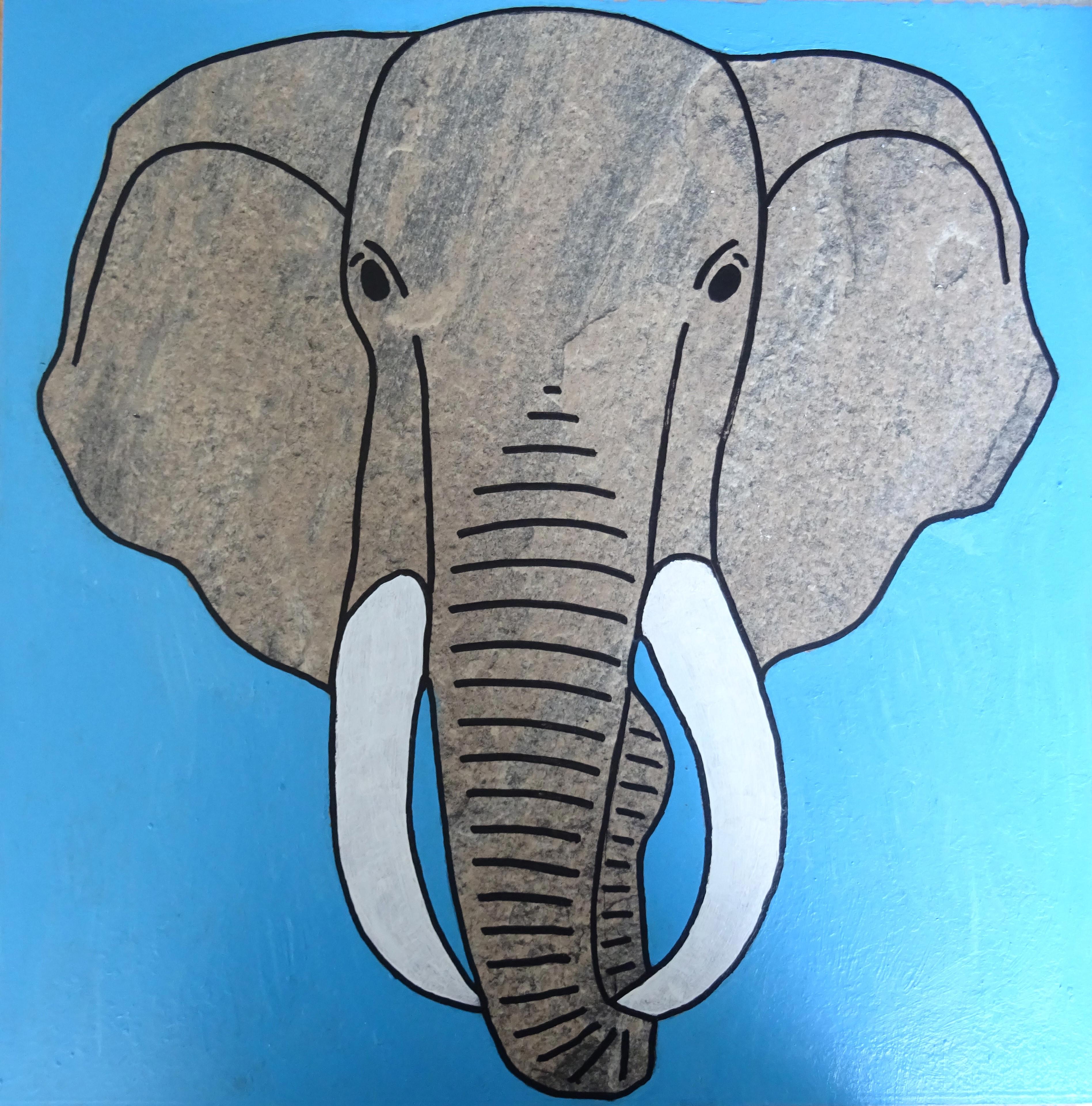 Olifant op oude laminaatvloer