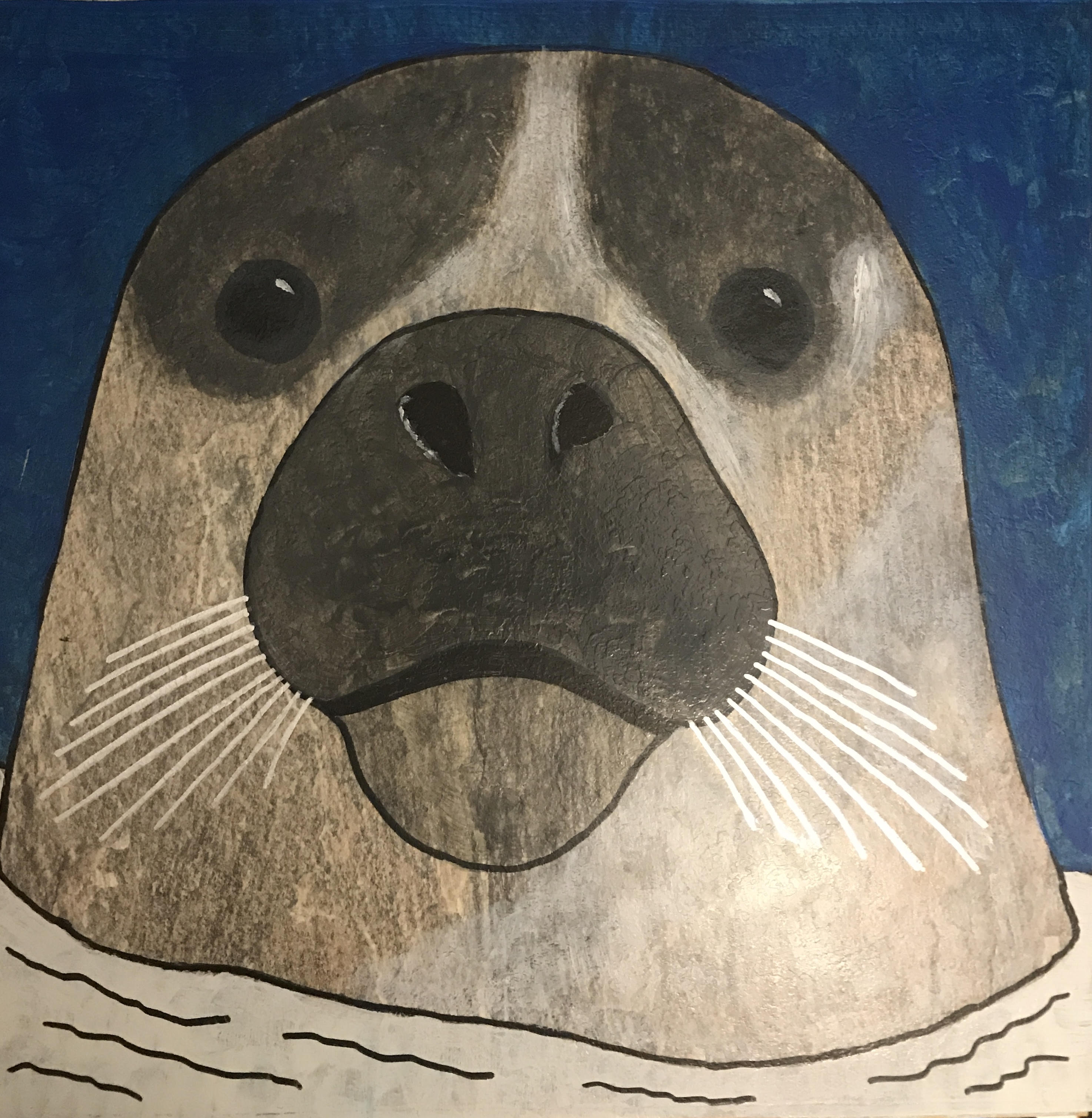 Zeehond op oude laminaatvloer
