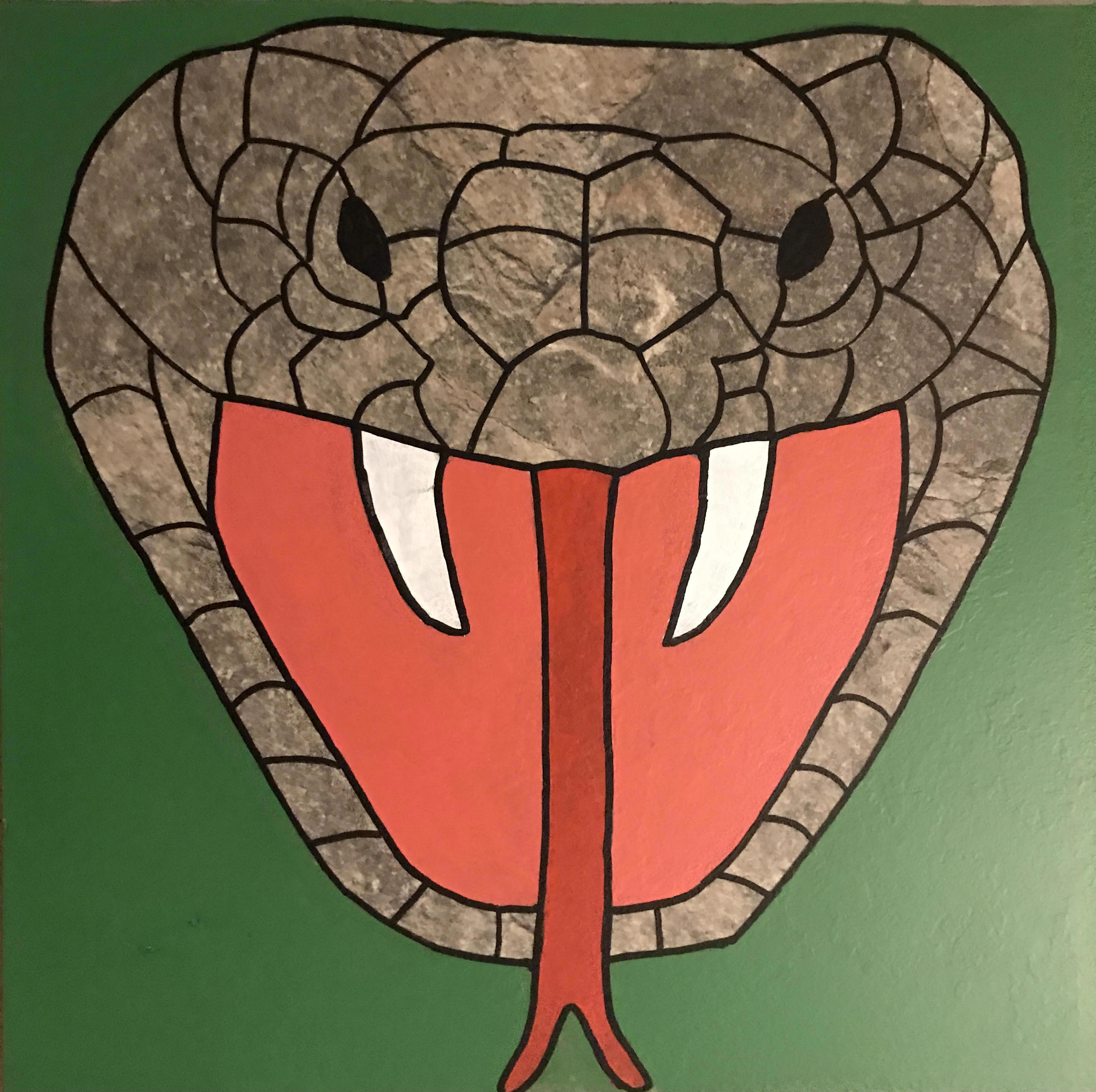 Slang op oude laminaattegel