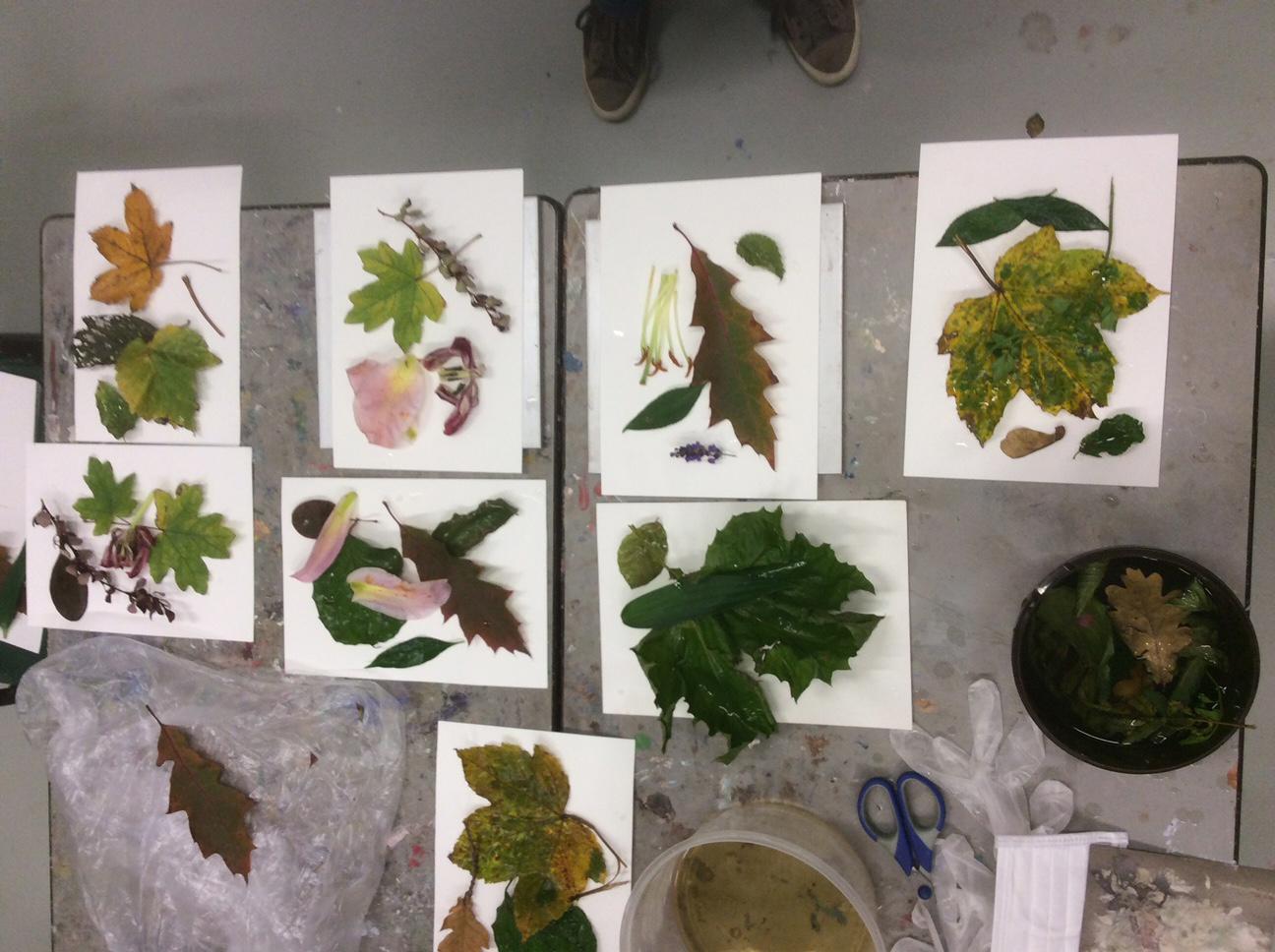 botanisch printen, compositie maken met blad