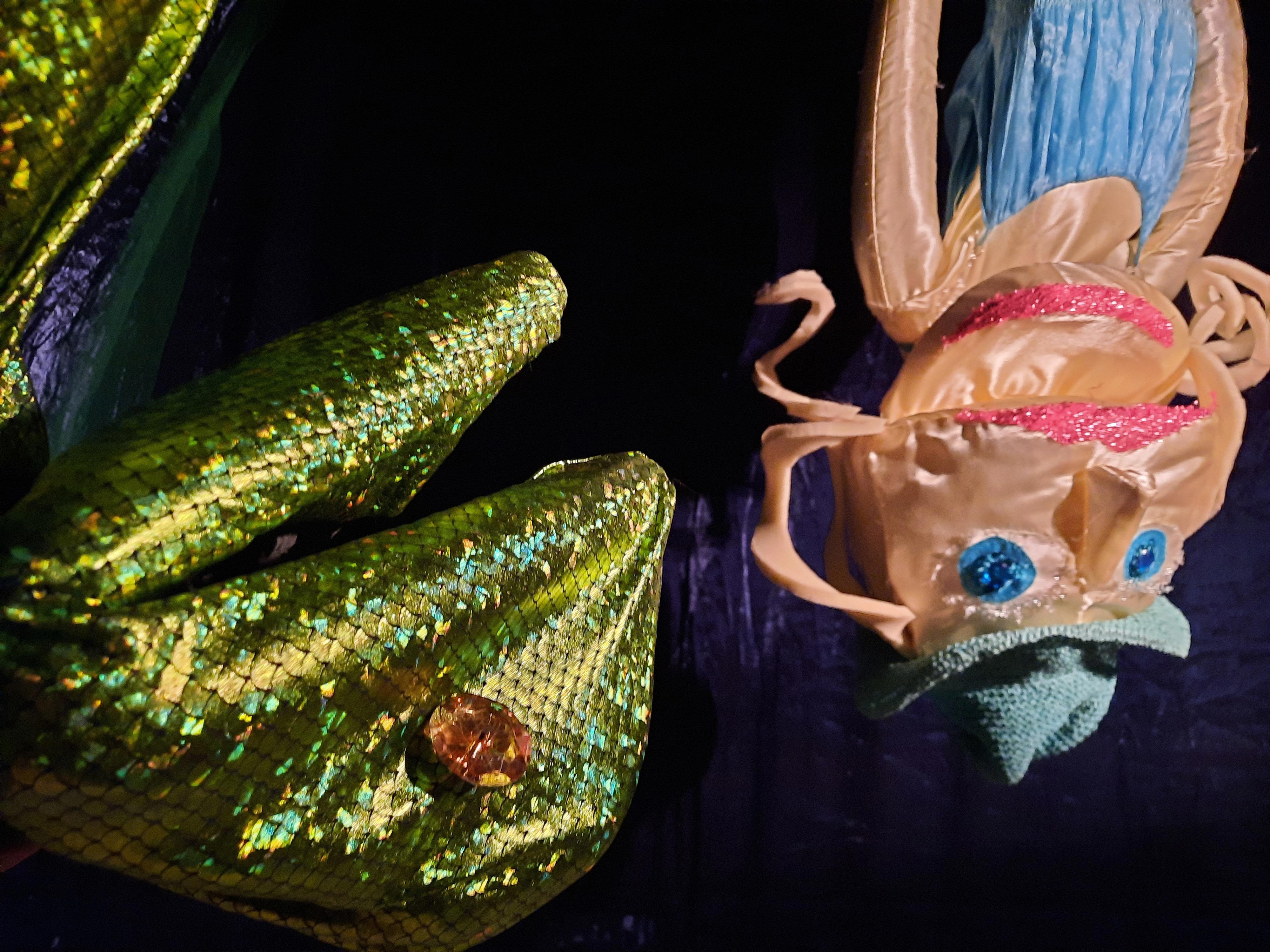 Redders van het Regenwoud