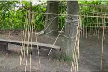 Bewegende Bamboe Beesten Bouwen