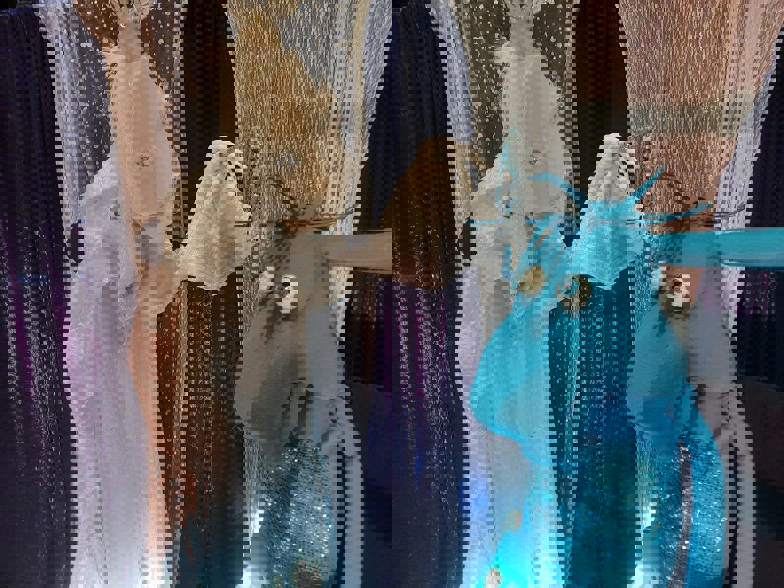 Rikkie en Bruno redden de Noordpool