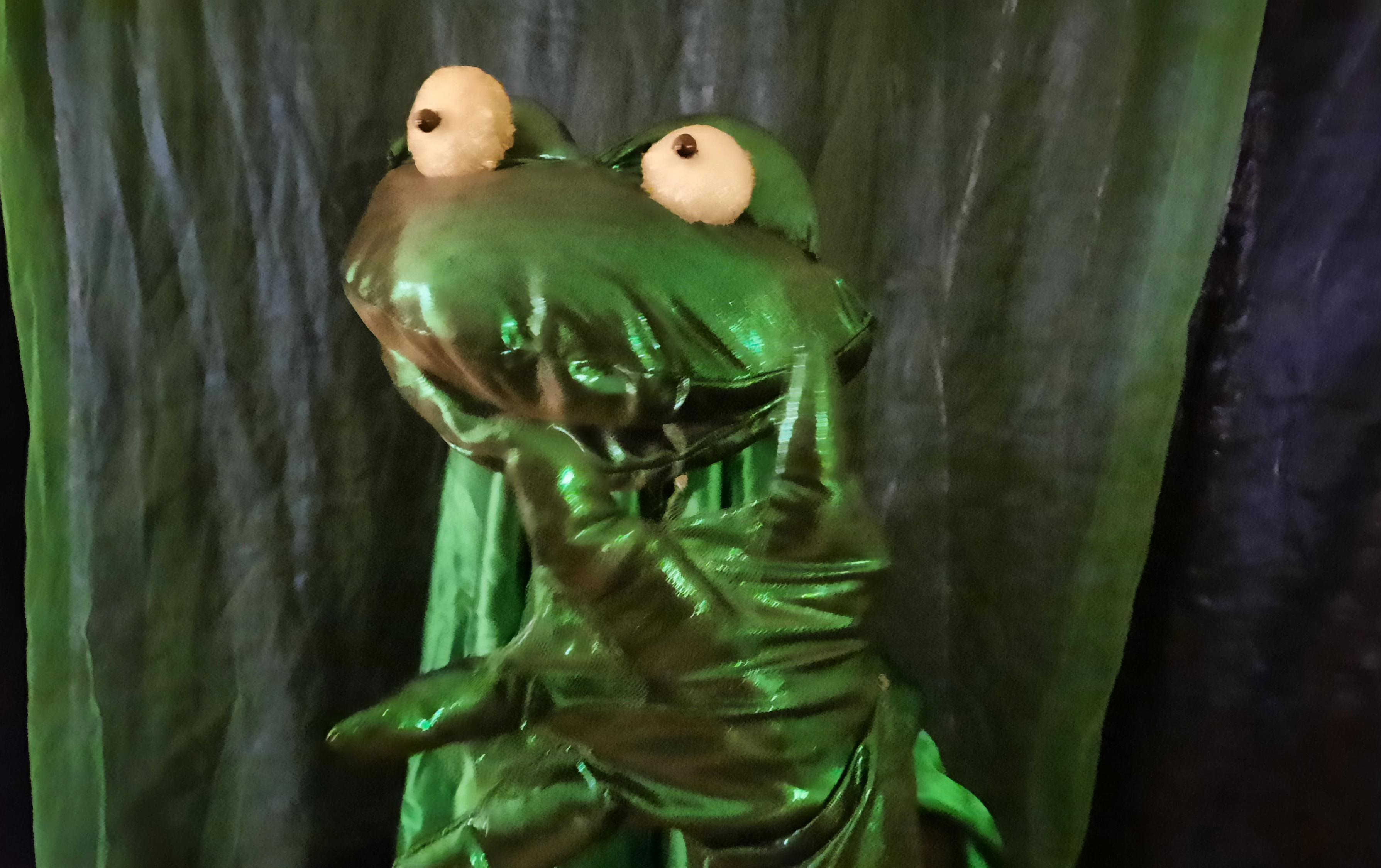 Voorstelling: Schaap zoekt een thuis