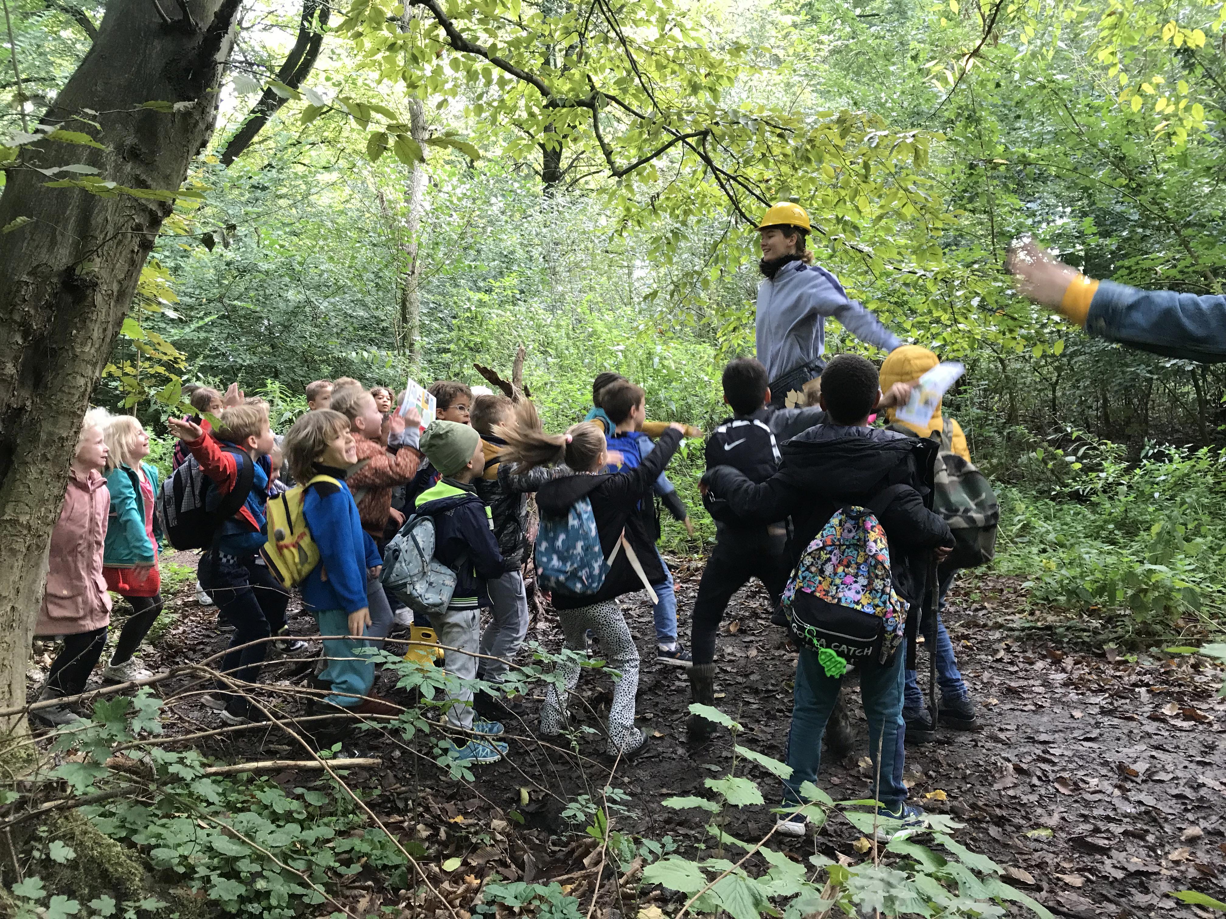 Buitentheater in de natuur