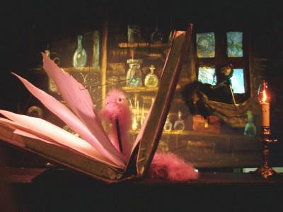 Boekenwurm heeft zich door het boek heengewerkt