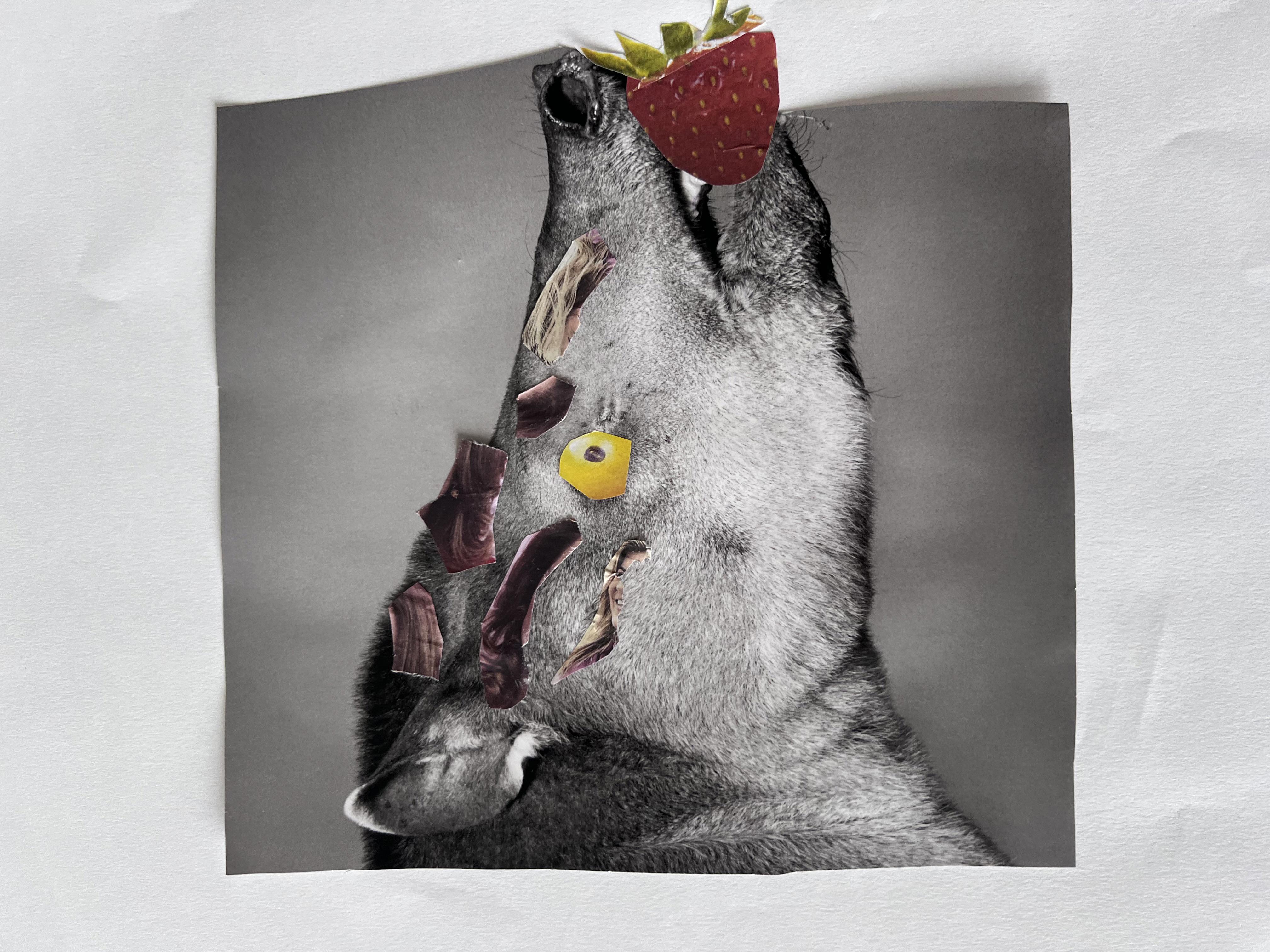 Gemaakt door een basisschoolleerling groep 4/5