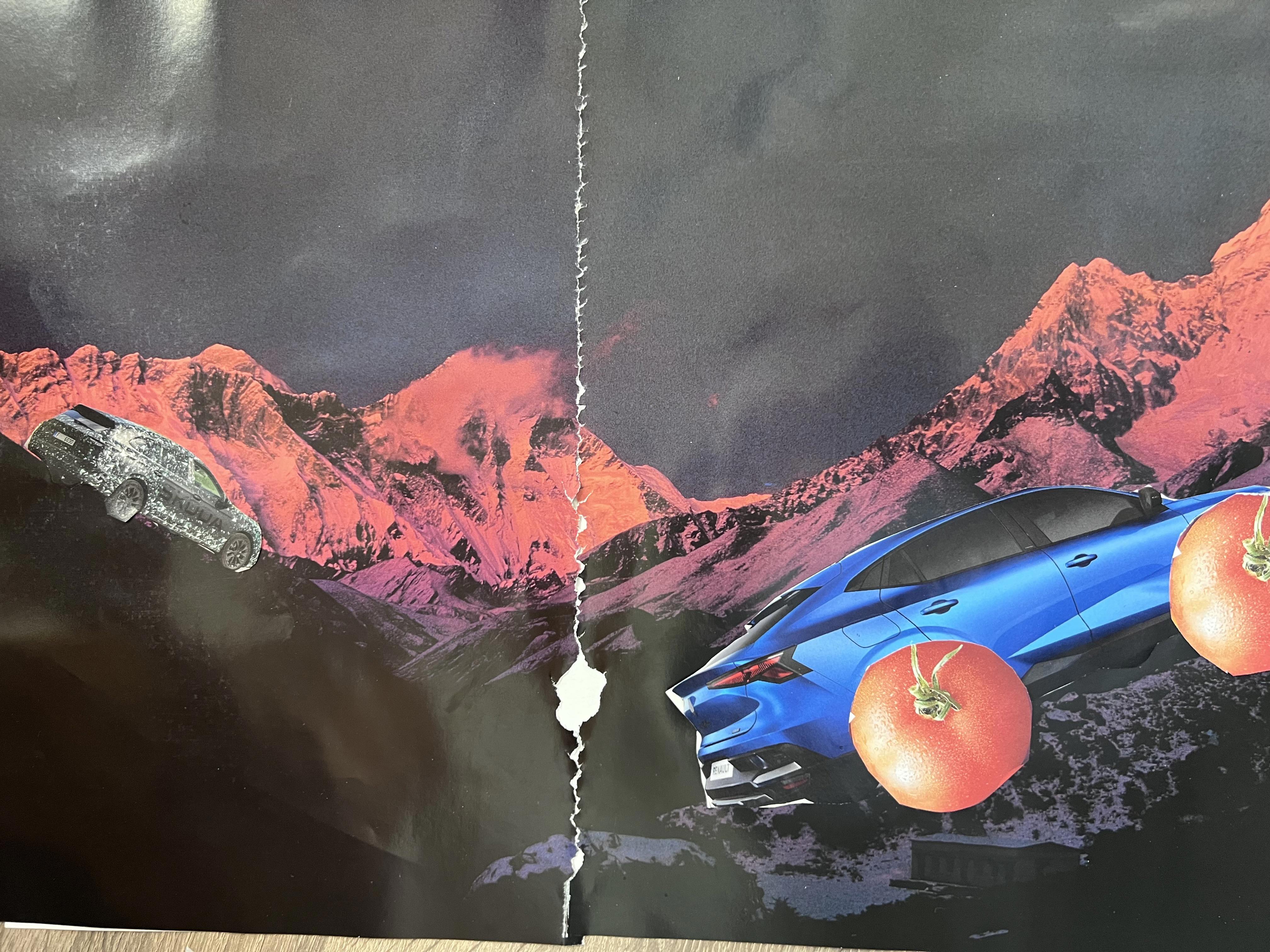 Collage gemaakt door een bassischoolleerling groep 4