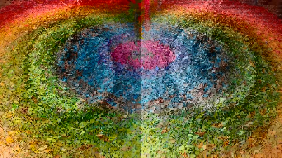 Duizenden origami kraanvogels